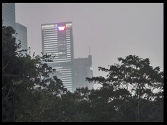 Futian district by night 03